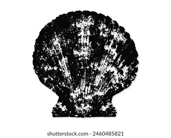 Black and white illustration sketch of a shell hand drawing vector isolated on white background.