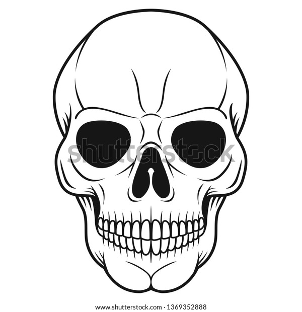 Black White Illustration Skull Human Head Stock Vector Royalty Free