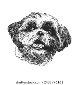 A black and white illustration of a small fluffy dog with a curious gaze and detailed fur.