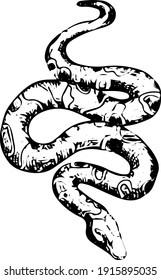 Black and white illustration of a snake. Use for a biology textbook