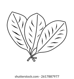 Black And White Illustration of Spinach Leaves on White Background