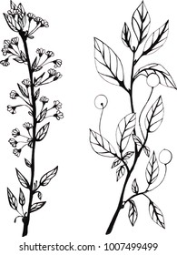black and white illustration of spring branches