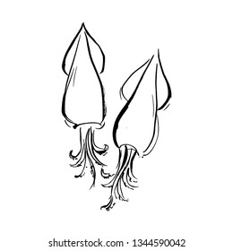 Black and white illustration of squids.