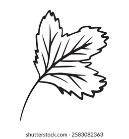black and white illustration of a strawberry leaf. Perfect for coloring pages, printables, educational materials, and kitchen decor.