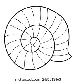 Black and white illustration of a striped sea snail, clipart, coloring page
