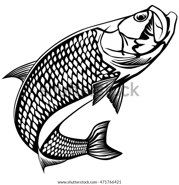 Black White Illustration Tarpon Vector Illustration Stock Vector ...