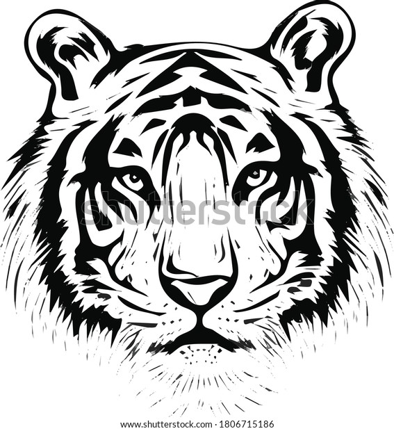 Black White Illustration Tiger Face Stock Vector (Royalty Free ...