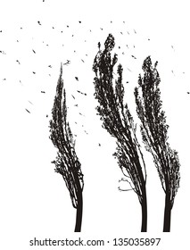 black and white illustration of tree poplars in the wind