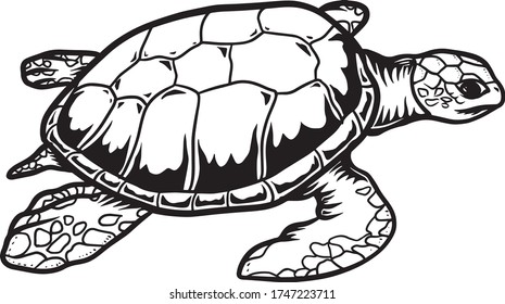 black and white illustration with turtle object
