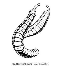 Black And White Illustration Of Two Curved Pods