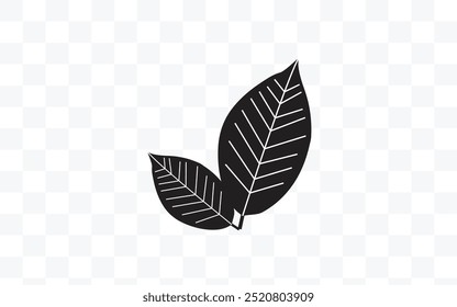 Black and white illustration of two leaves with visible veins, placed on a white background, creating a simple and modern nature-inspired graphic