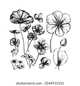 Black and white illustration of various hand-drawn geranium flowers and leaves.