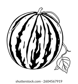 Black And White Illustration Of A Watermelon With Leaf