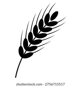 A black and white illustration of a wheat stalk with fully developed grains