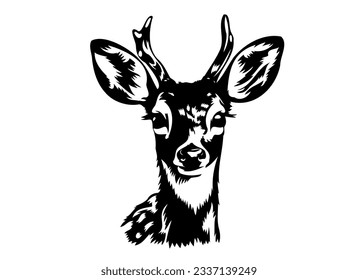 Black and white illustration of wild deer 