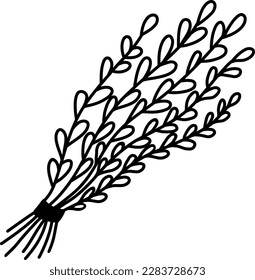 Black and white illustration of willow twigs.Young twigs of pussy willow with fluffy earrings highlighted on a white background. Vector element for floral design, illustration of the Slavic Christian 