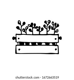 Black and white image of a box with seedlings. Vector illustration. Hand-drawn doodle for design, web, icons.