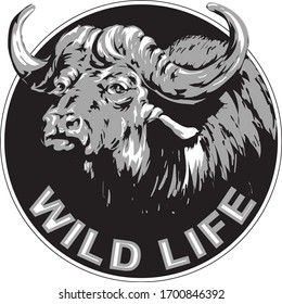 Black and white image of a buffalo. Vector illustration.