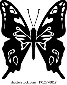 Black and white image of butterfly