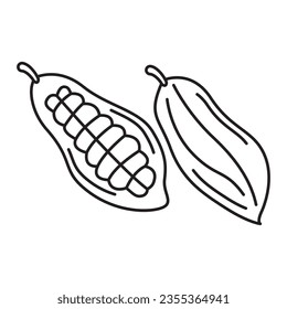 Black and white image of a cacao bean. Vector image, eps
