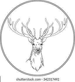 black and white image of christmas deer with big horns