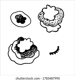 Black and white image of a cupcake. Isolated background.
