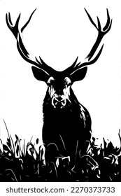 Black and white image of a deer. Red Deer (Cervus elaphus).