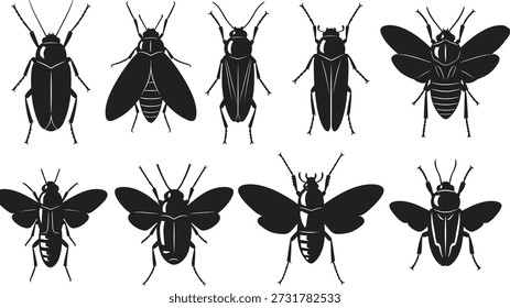Una Imagen en blanco y negro con ocho insectos con Formas corporales únicas y estructuras alares, posiblemente con fines educativos o de Identificación.