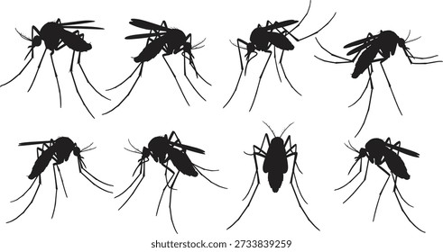 Uma imagem em preto e branco com oito silhuetas de mosquitos em diferentes orientações e posições