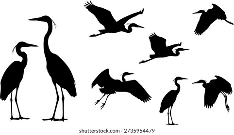 A black and white image featuring silhouettes of herons and egrets in different flying and standing positions.