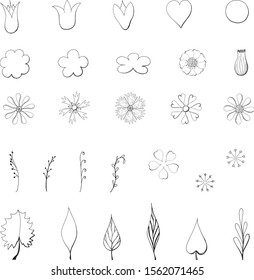 Black and white image of flowers, leaves and blades of grass