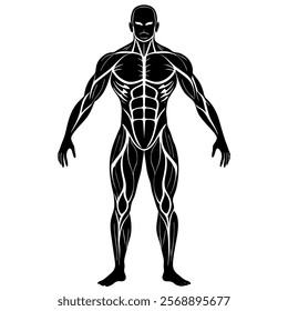 black and white image of a man without skin