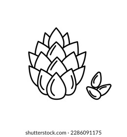 Black and white image of a pine nut. Vector image, eps