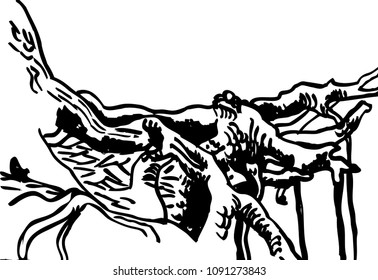 black and white image of pine roots
