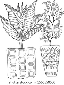 black and white image of plants set freehand ink drawing isolated