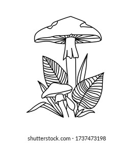 Black and white image of a poisonous mushroom with grass and leaves.