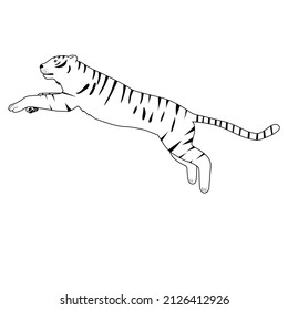 Black And White Image Of A Running Tiger. White Background, Vector