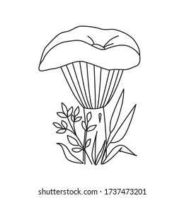 Black and white image of Russula mushroom with grass and leaves around. Idea for children's creativity, coloring books, learning.