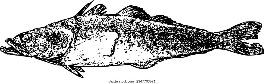 black and white image of sea fish. vector isolated graphic.