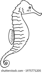 Black and white image of a seahorse. Vector illustration. Design for stickers, illustrations, marine aquariums.