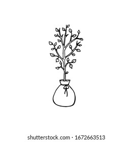 Black and white image of a tree seedling. Vector illustration. Hand-drawn doodle for design, web, icons.
