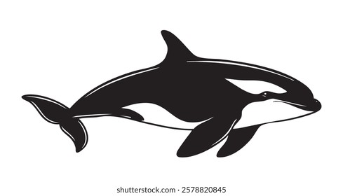 A black and white image of a whale