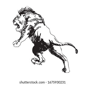 imagen en blanco y negro de un león salvaje