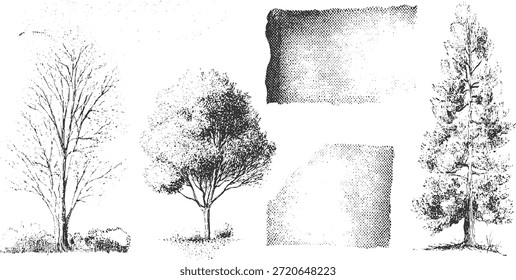 Schwarz-weiße Tinte von Laub- und Nadelbäumen mit strukturierter Halbtonnatur