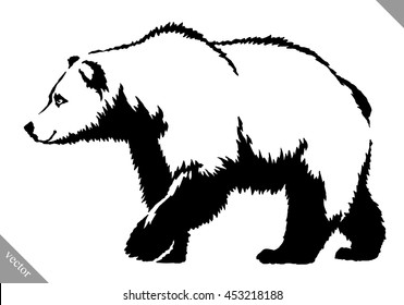 black and white ink draw bear vector illustration