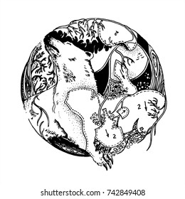 Black and white ink drawing of a bear. With isolation background. Roundel