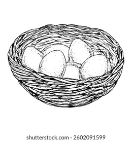 Black and white ink drawing of three pussy willow branches. Hand-drawn spring botanical illustration for seasonal cards, invitations, packaging, nature-themed designs, or religious celebration