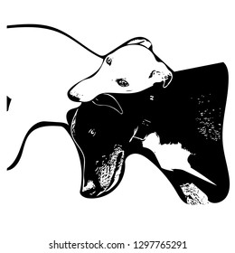 Black and white ink drawing of two Whippet dogs snuggling. svg