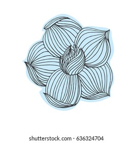 Black and white ink hand drawn wild rose in vector