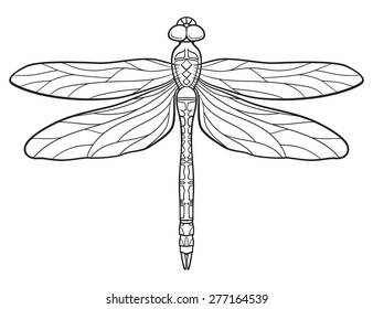black and white ink  illustration of a dragonfly